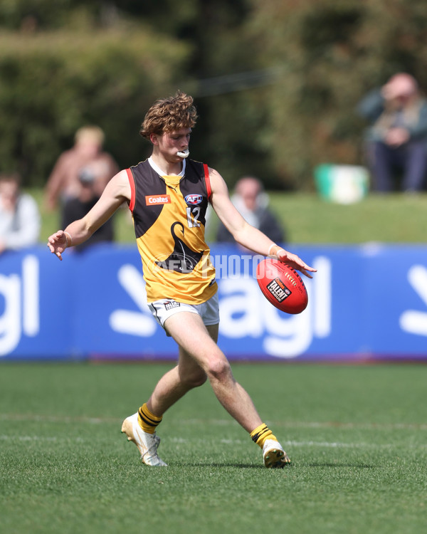 Coates League Boys 2024 First Preliminary Final - Sandringham v Dandenong - A-54056890