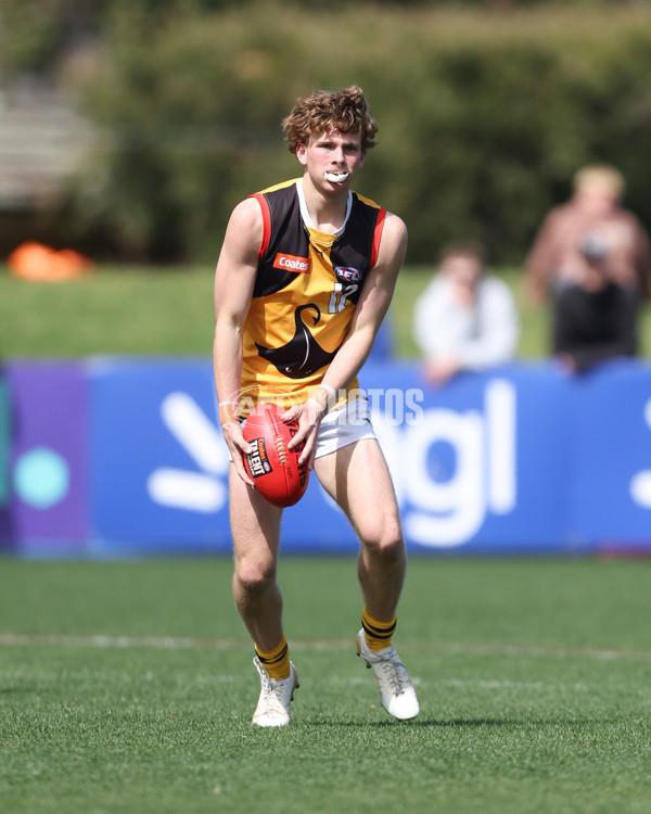 Coates League Boys 2024 First Preliminary Final - Sandringham v Dandenong - A-54056895