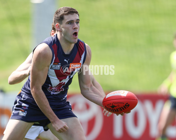 Coates League Boys 2024 First Preliminary Final - Sandringham v Dandenong - A-54056896