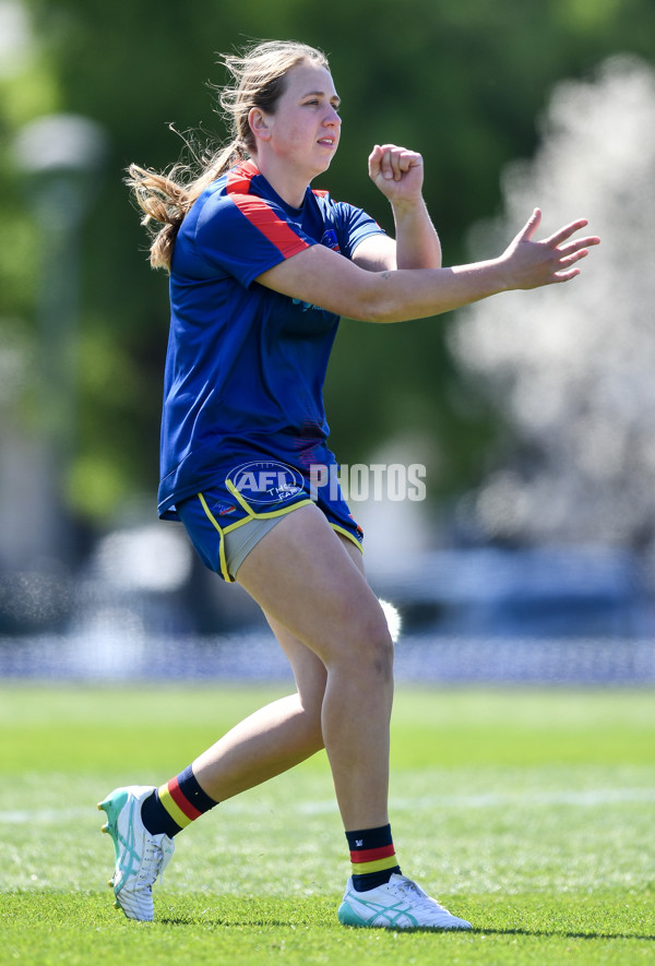 AFLW 2024 Round 03 - Adelaide v Hawthorn - A-54058234