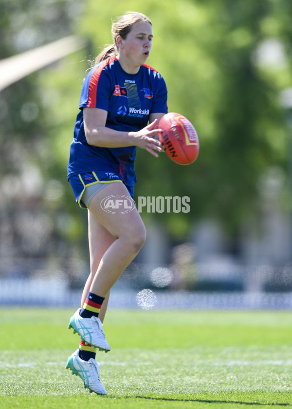 AFLW 2024 Round 03 - Adelaide v Hawthorn - A-54058235