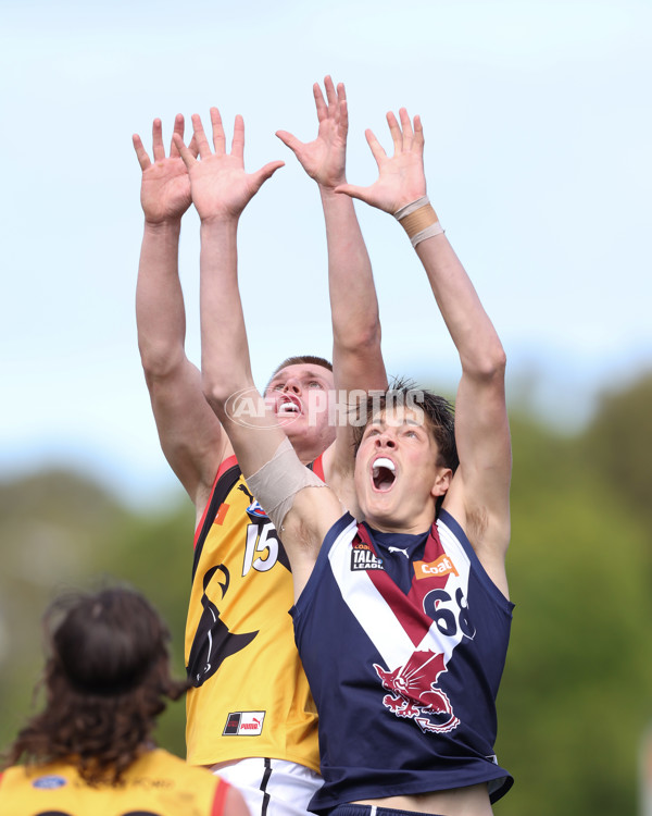 Coates League Boys 2024 First Preliminary Final - Sandringham v Dandenong - A-54058238