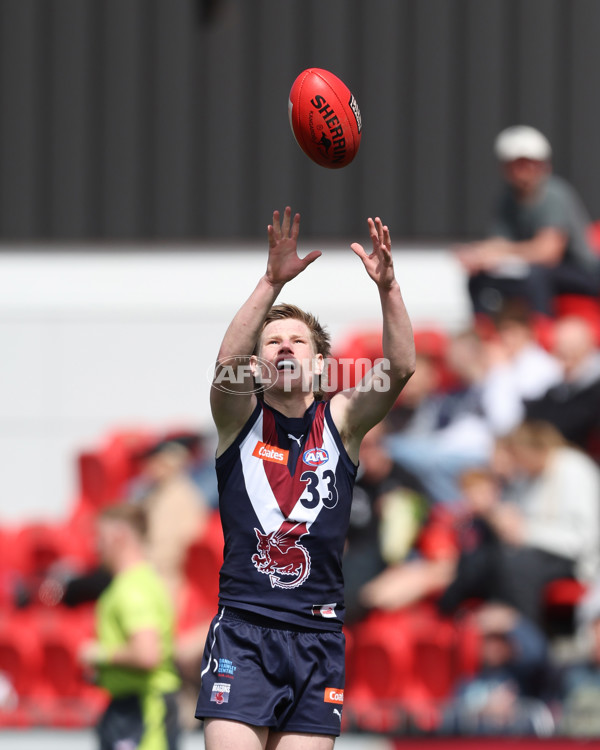 Coates League Boys 2024 First Preliminary Final - Sandringham v Dandenong - A-54058242