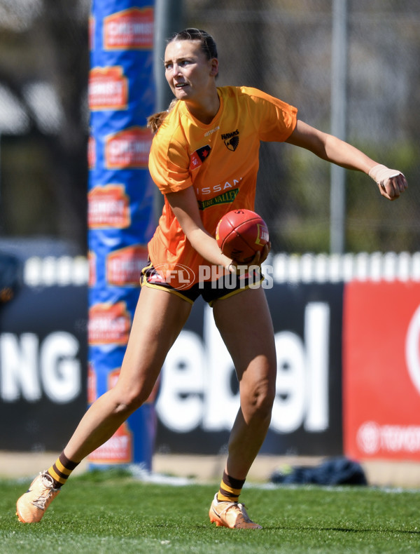 AFLW 2024 Round 03 - Adelaide v Hawthorn - A-54058255