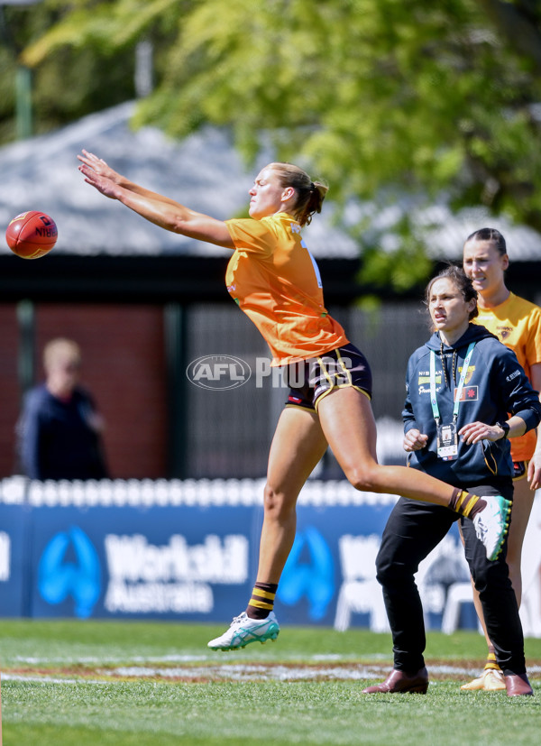 AFLW 2024 Round 03 - Adelaide v Hawthorn - A-54058269