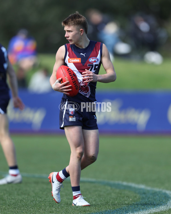 Coates League Boys 2024 First Preliminary Final - Sandringham v Dandenong - A-54058310