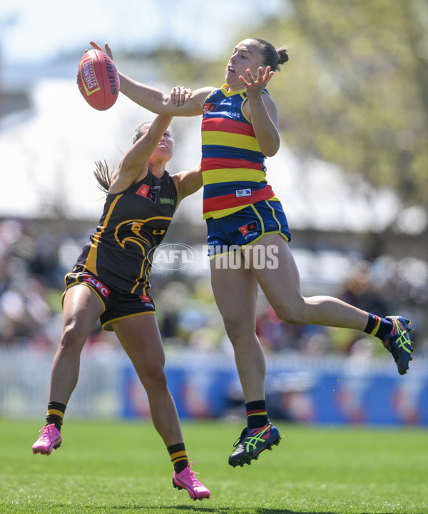 AFLW 2024 Round 03 - Adelaide v Hawthorn - A-54059276