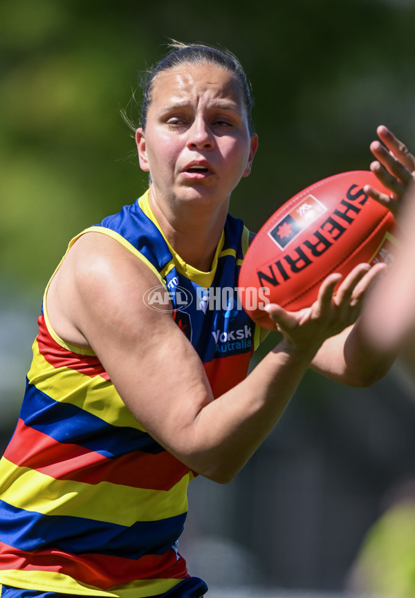 AFLW 2024 Round 03 - Adelaide v Hawthorn - A-54059286