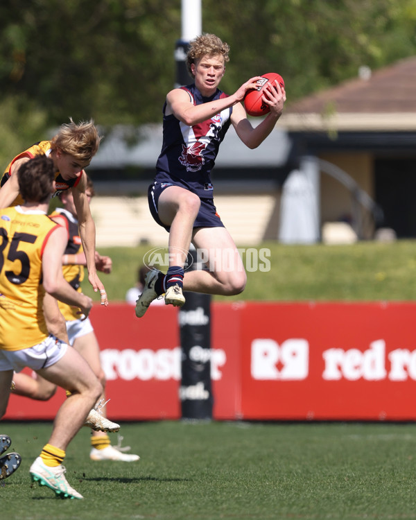 Coates League Boys 2024 First Preliminary Final - Sandringham v Dandenong - A-54059287