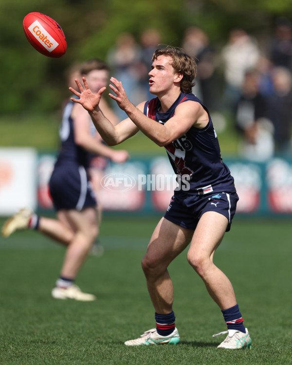 Coates League Boys 2024 First Preliminary Final - Sandringham v Dandenong - A-54059291