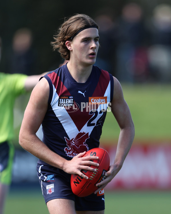 Coates League Boys 2024 First Preliminary Final - Sandringham v Dandenong - A-54059293