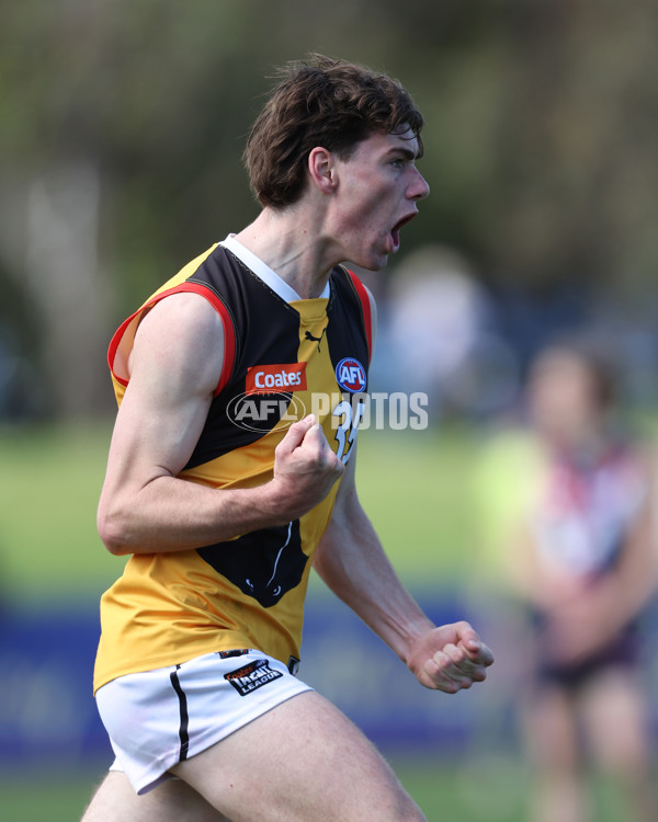 Coates League Boys 2024 First Preliminary Final - Sandringham v Dandenong - A-54059295