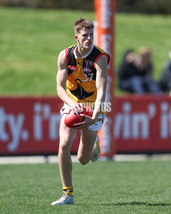 Coates League Boys 2024 First Preliminary Final - Sandringham v Dandenong - A-54059296