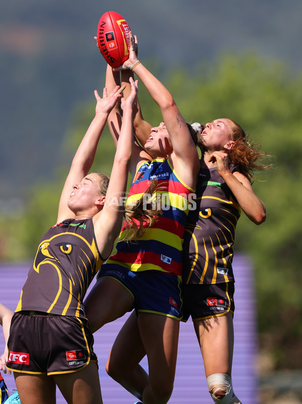 AFLW 2024 Round 03 - Adelaide v Hawthorn - A-54059305