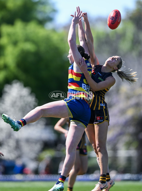 AFLW 2024 Round 03 - Adelaide v Hawthorn - A-54059306