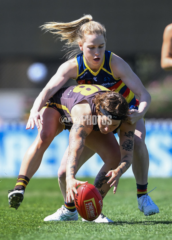 AFLW 2024 Round 03 - Adelaide v Hawthorn - A-54059315