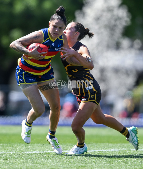 AFLW 2024 Round 03 - Adelaide v Hawthorn - A-54061164