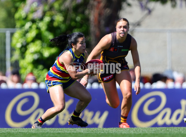 AFLW 2024 Round 03 - Adelaide v Hawthorn - A-54061203