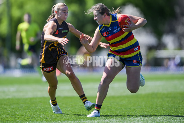 AFLW 2024 Round 03 - Adelaide v Hawthorn - A-54061254