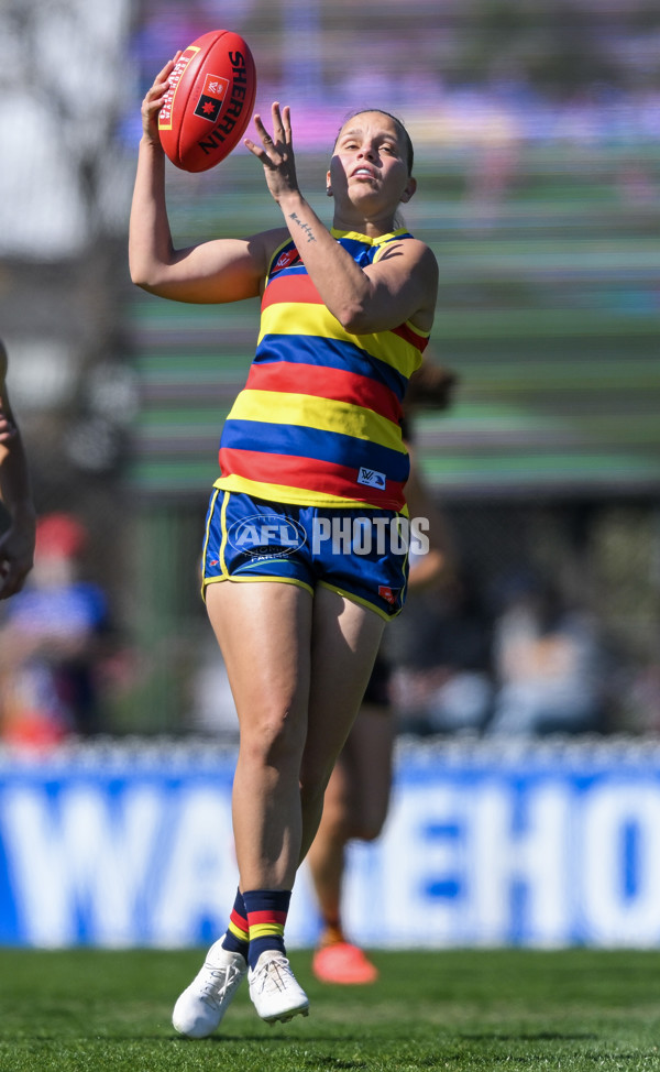 AFLW 2024 Round 03 - Adelaide v Hawthorn - A-54062148