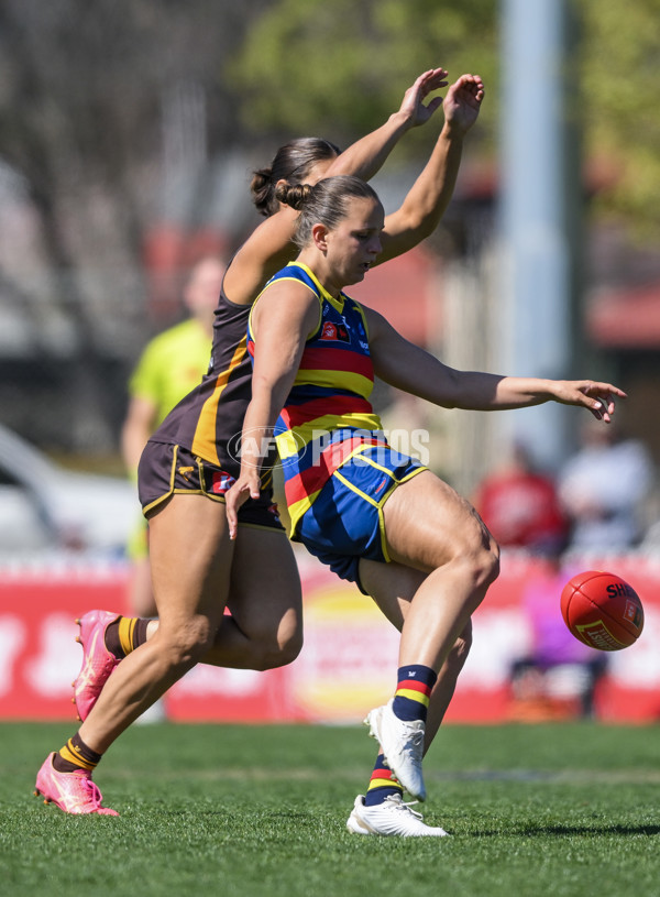 AFLW 2024 Round 03 - Adelaide v Hawthorn - A-54062151