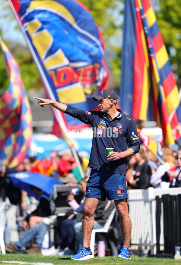 AFLW 2024 Round 03 - Adelaide v Hawthorn - A-54063901