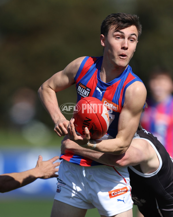 Coates League Boys 2024 Second Preliminary Final - GWV Rebels v Oakleigh Chargers - A-54063940