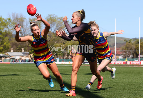 AFLW 2024 Round 03 - Adelaide v Hawthorn - A-54065009