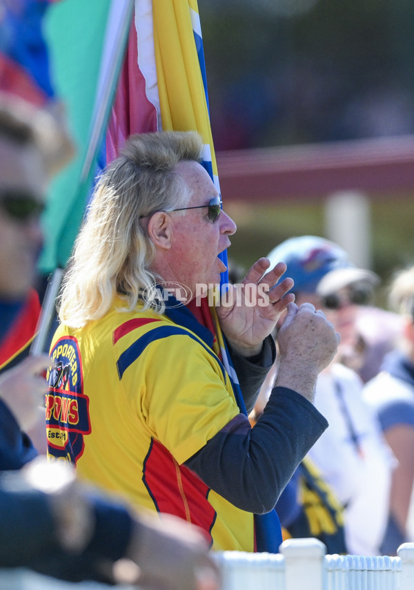 AFLW 2024 Round 03 - Adelaide v Hawthorn - A-54065016