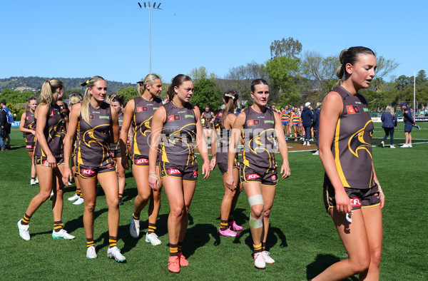 AFLW 2024 Round 03 - Adelaide v Hawthorn - A-54065039