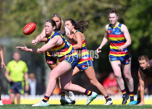 AFLW 2024 Round 03 - Adelaide v Hawthorn - A-54068508