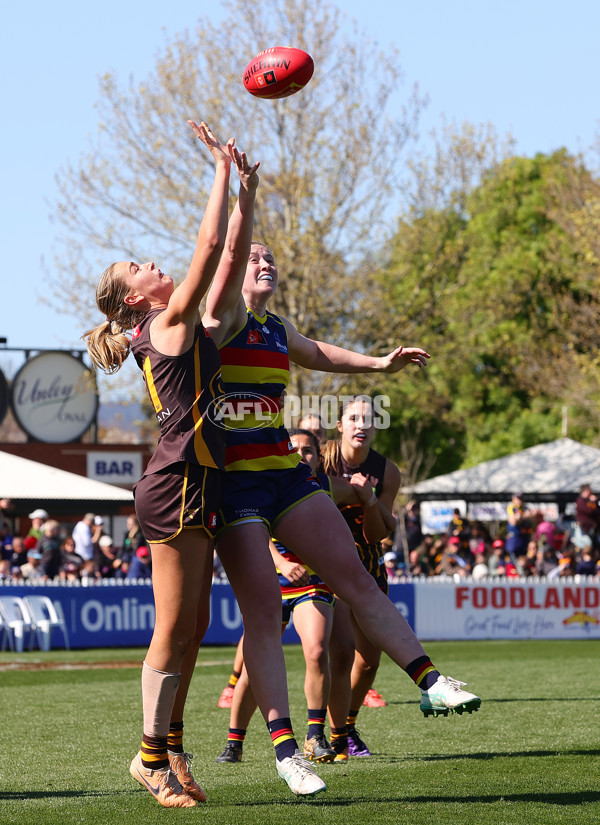 AFLW 2024 Round 03 - Adelaide v Hawthorn - A-54068815