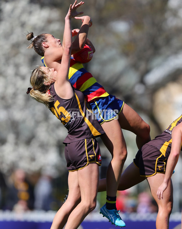 AFLW 2024 Round 03 - Adelaide v Hawthorn - A-54068822