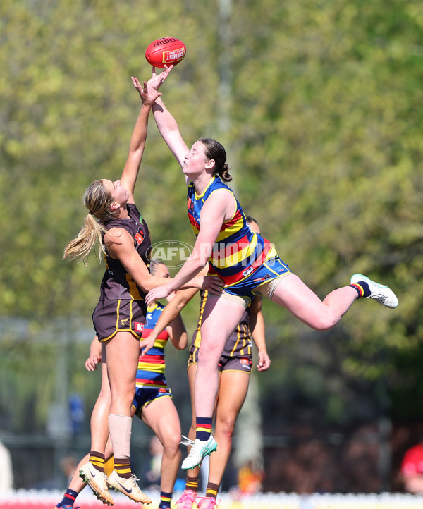 AFLW 2024 Round 03 - Adelaide v Hawthorn - A-54068826