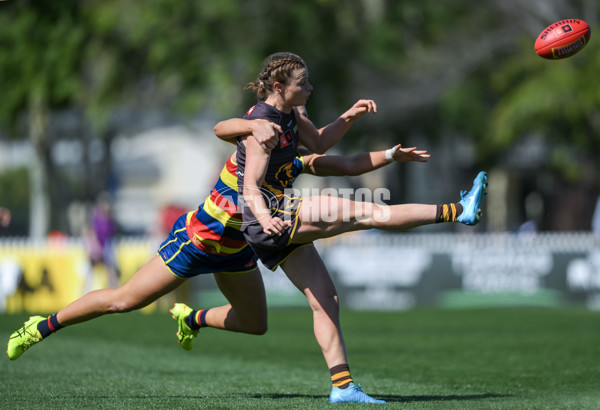 AFLW 2024 Round 03 - Adelaide v Hawthorn - A-54070989