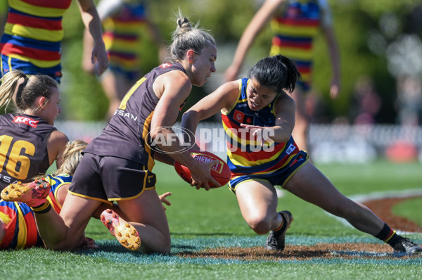 AFLW 2024 Round 03 - Adelaide v Hawthorn - A-54071039