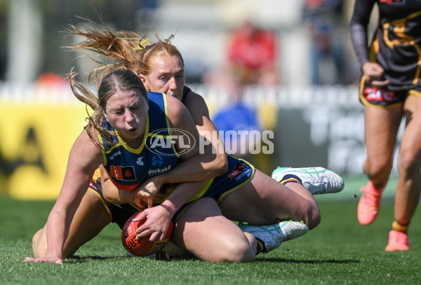 AFLW 2024 Round 03 - Adelaide v Hawthorn - A-54071468