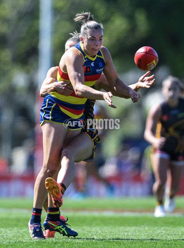 AFLW 2024 Round 03 - Adelaide v Hawthorn - A-54071505