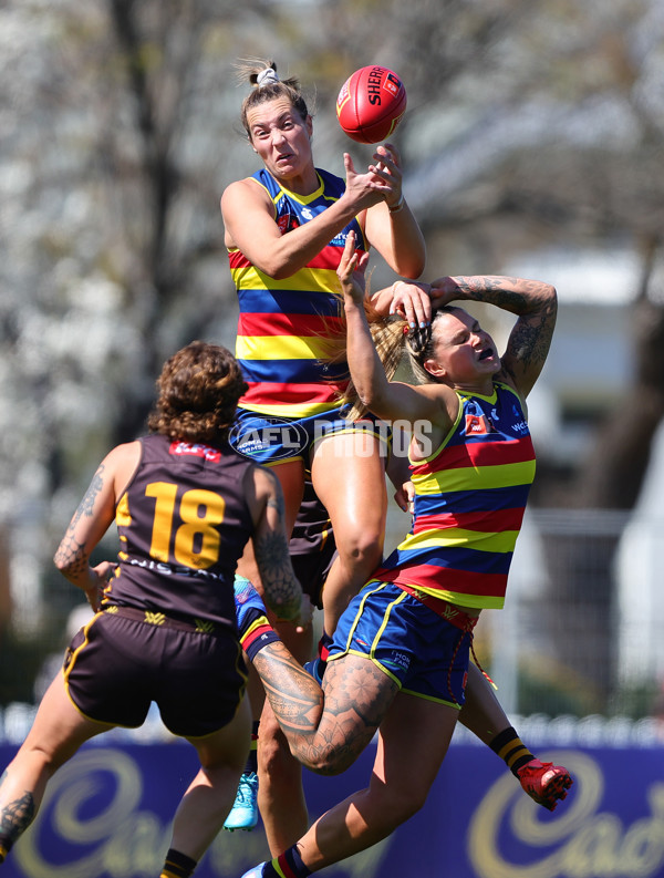 AFLW 2024 Round 03 - Adelaide v Hawthorn - A-54074142