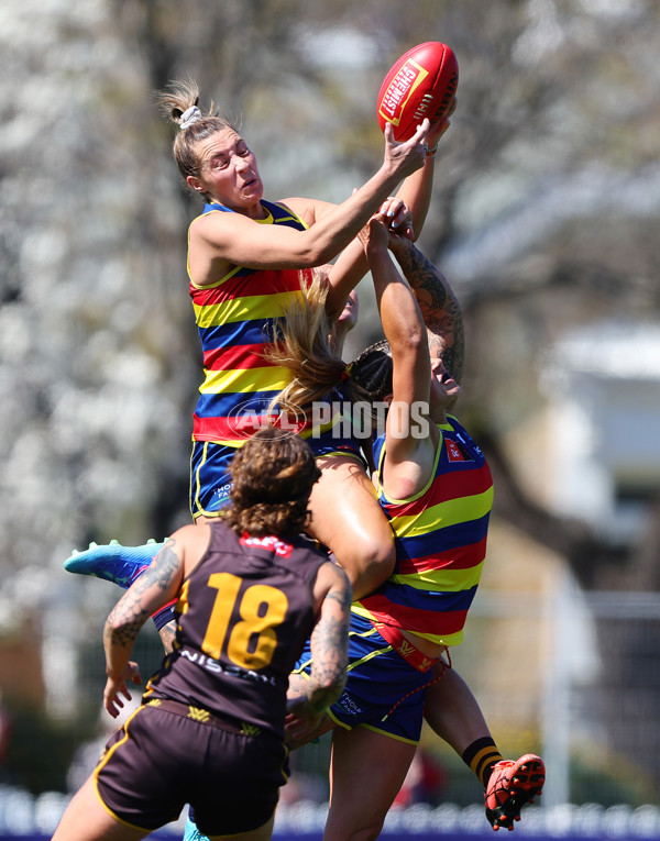 AFLW 2024 Round 03 - Adelaide v Hawthorn - A-54074145