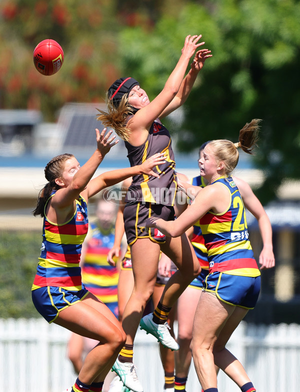 AFLW 2024 Round 03 - Adelaide v Hawthorn - A-54074160