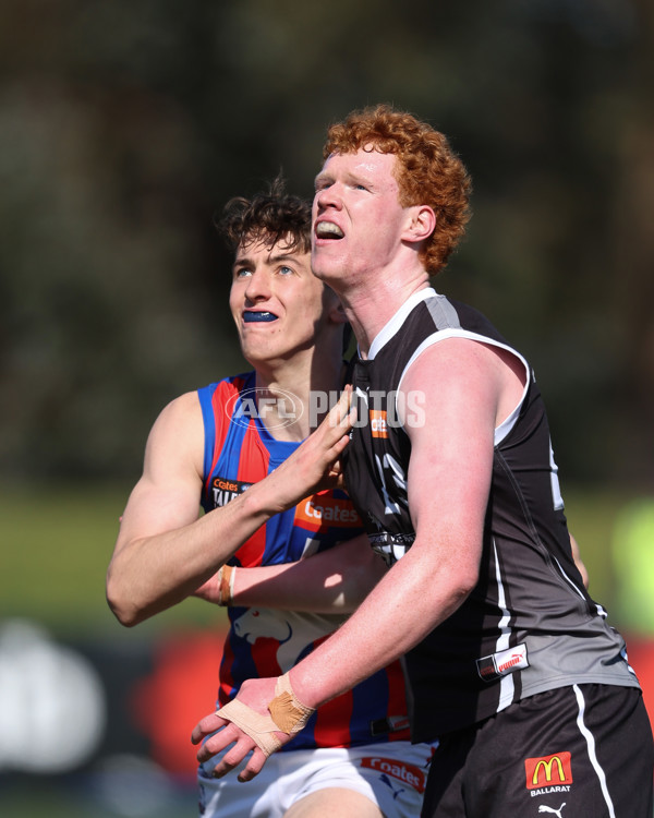 Coates League Boys 2024 Second Preliminary Final - GWV Rebels v Oakleigh Chargers - A-54079838