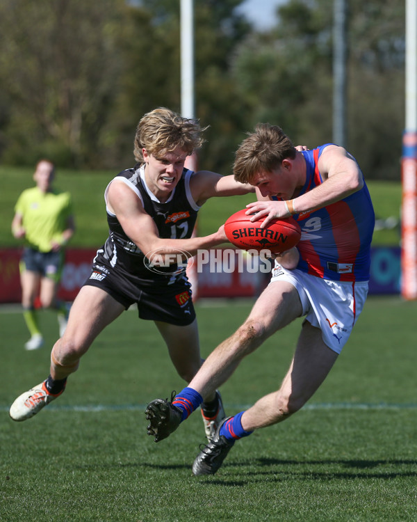 Coates League Boys 2024 Second Preliminary Final - GWV Rebels v Oakleigh Chargers - A-54081279