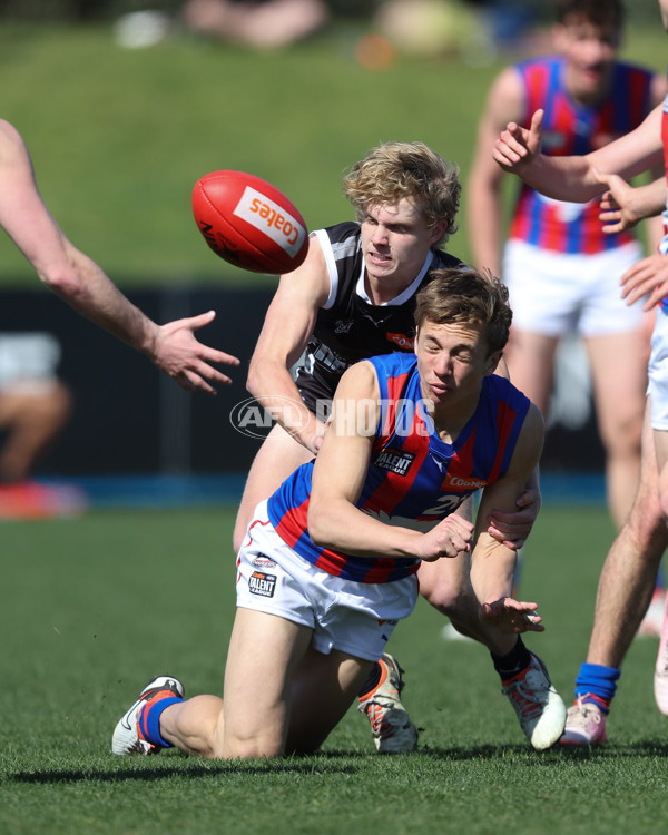 Coates League Boys 2024 Second Preliminary Final - GWV Rebels v Oakleigh Chargers - A-54081280