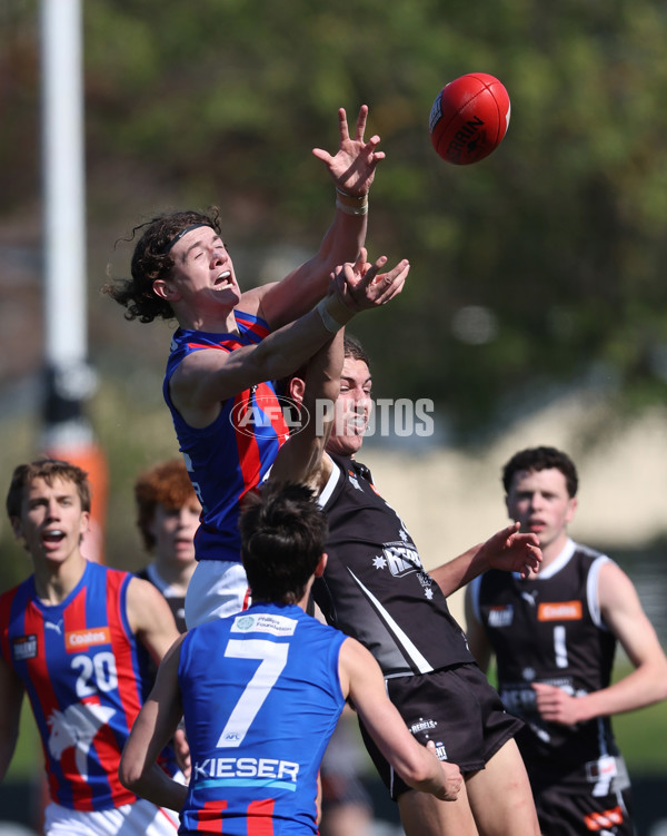 Coates League Boys 2024 Second Preliminary Final - GWV Rebels v Oakleigh Chargers - A-54081311