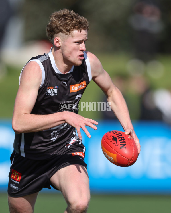 Coates League Boys 2024 Second Preliminary Final - GWV Rebels v Oakleigh Chargers - A-54083400