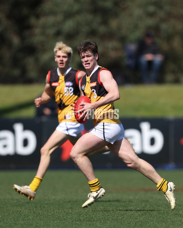 Coates League Boys 2024 First Preliminary Final - Sandringham v Dandenong - A-54083424