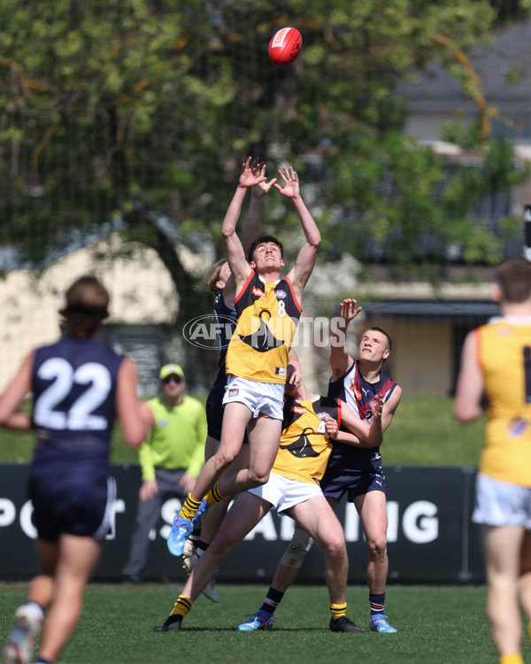 Coates League Boys 2024 First Preliminary Final - Sandringham v Dandenong - A-54083427