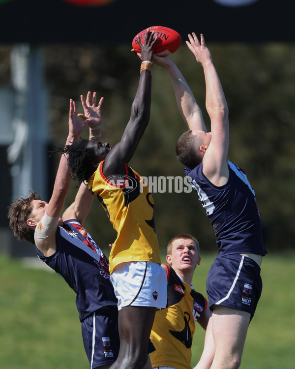 Coates League Boys 2024 First Preliminary Final - Sandringham v Dandenong - A-54083428