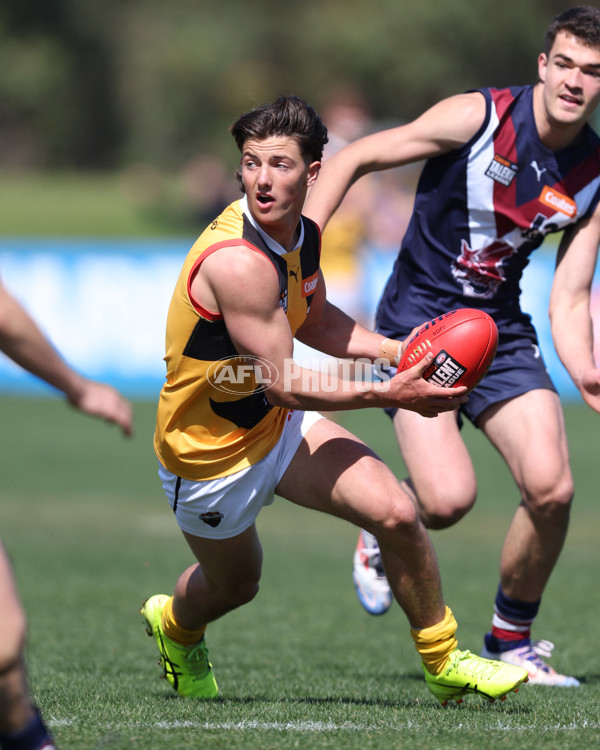 Coates League Boys 2024 First Preliminary Final - Sandringham v Dandenong - A-54083430